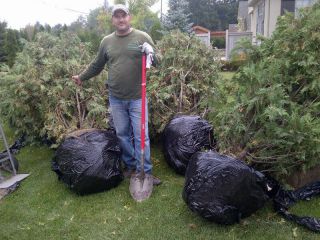 Tom planting trees Tom planting trees